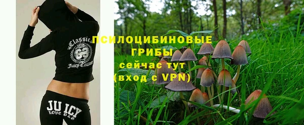 соль курить ск Богданович