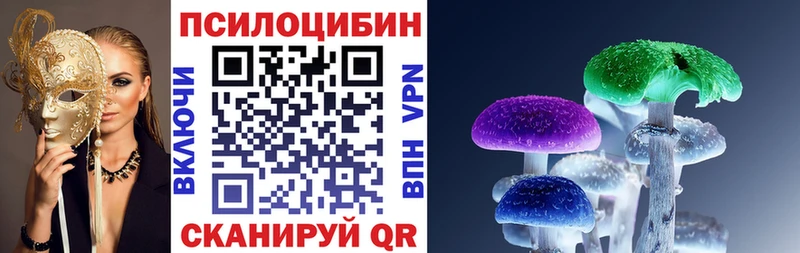 купить закладку  Ворсма  Псилоцибиновые грибы Magic Shrooms 